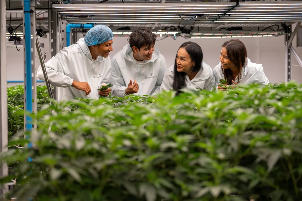 Small group walking through the Phuket farm grow room with a guide