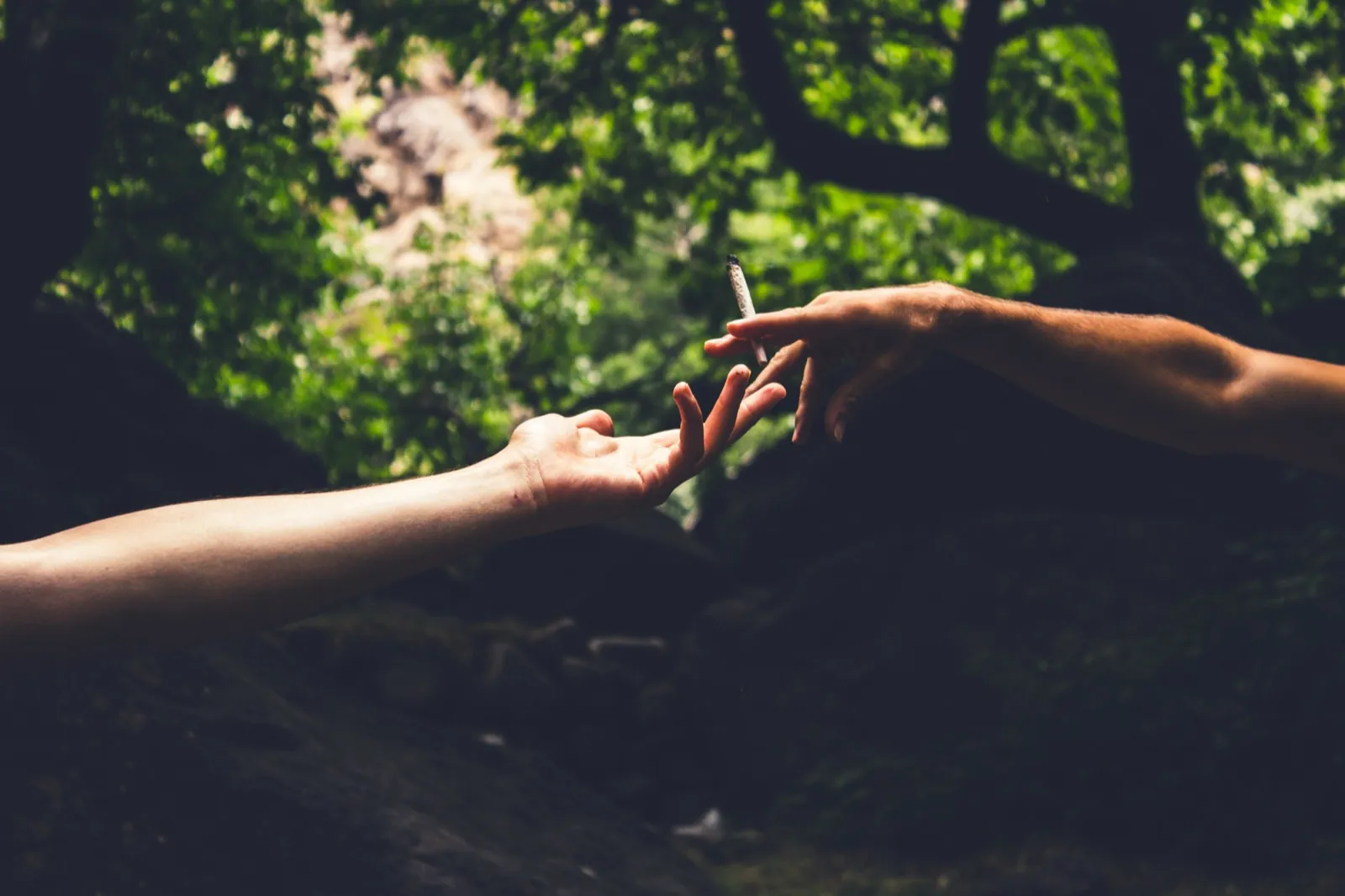 Two hands passing a joint outdoors beneath green trees  -  the communal ritual you're stepping back from