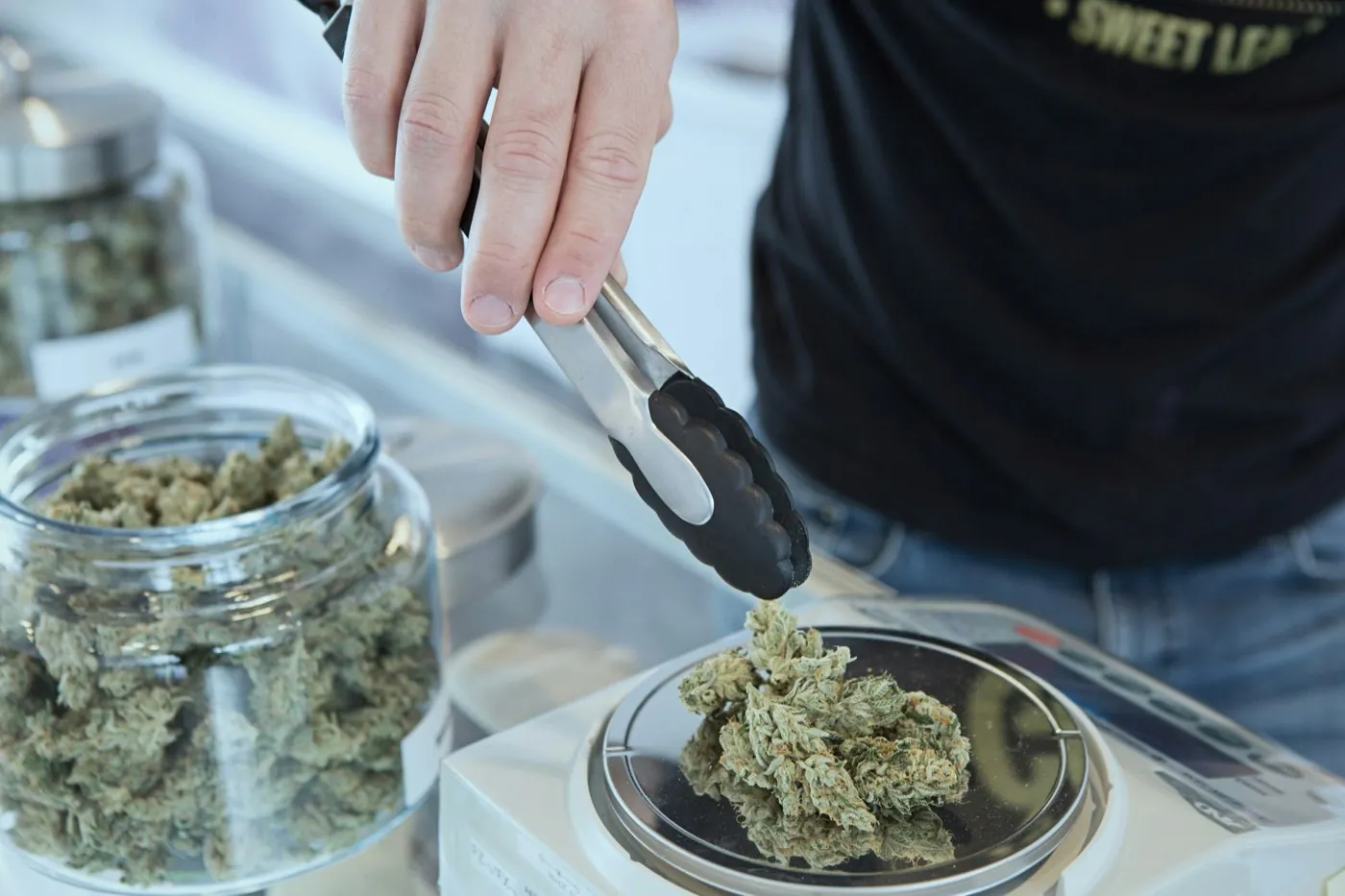 Budtender using tongs to weigh cannabis flower on a scale at a dispensary counter