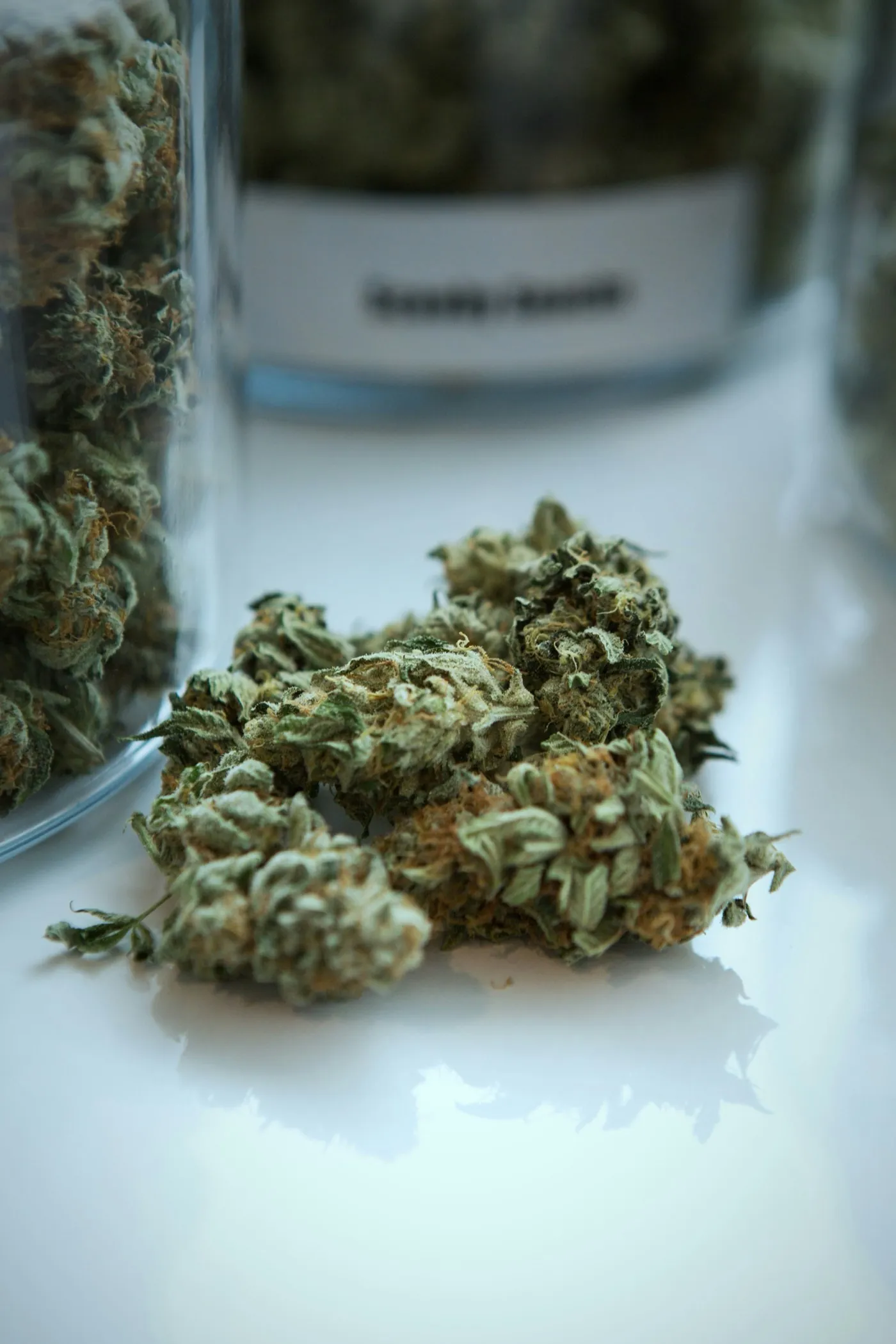 Extreme close-up of cannabis buds spilling from a glass jar - Sativa vs Indica vs Hybrid Bangkok