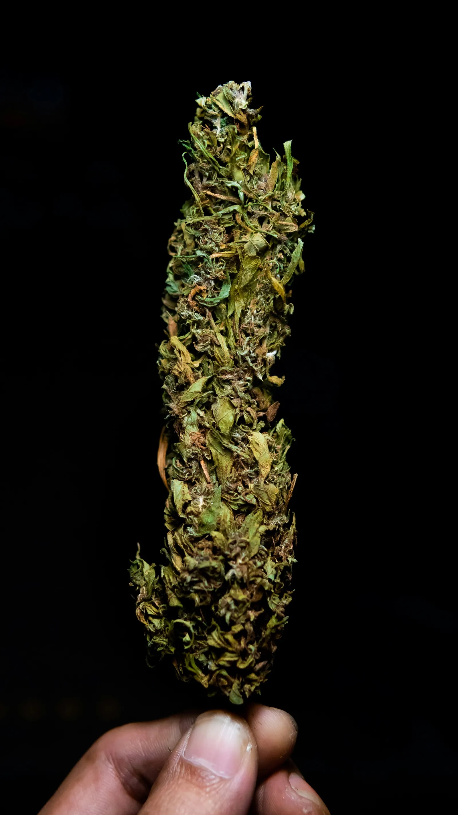 Dispensary Google Won't Show You