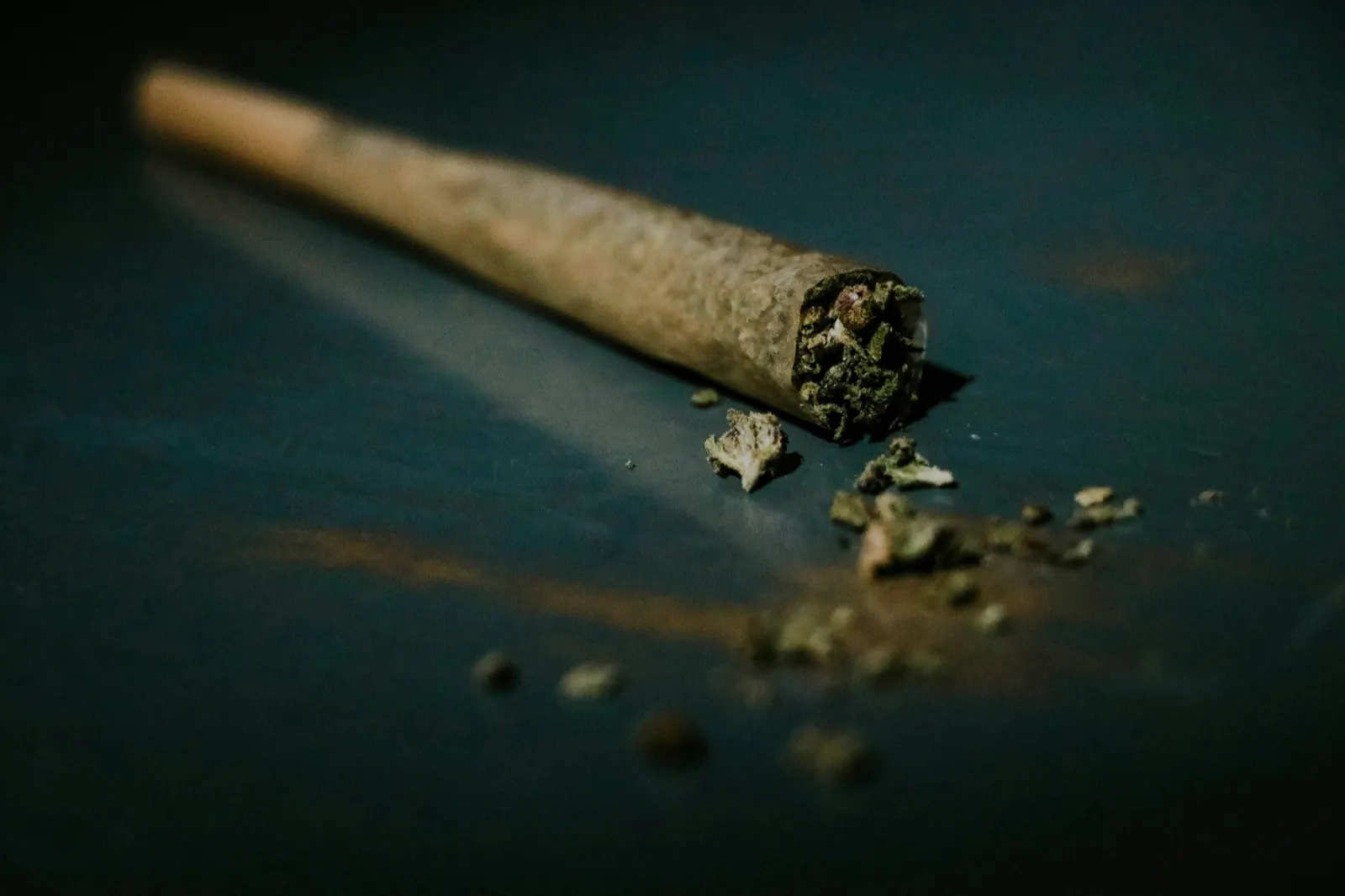 Cannabis Instead of Opioids