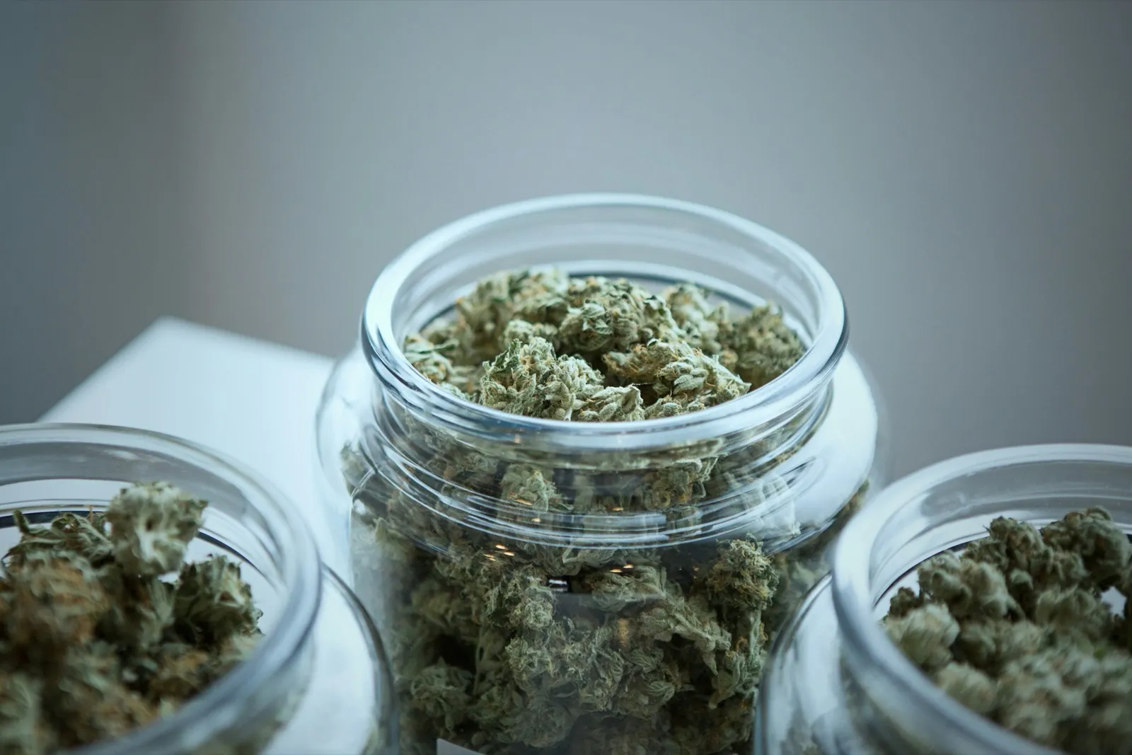 Your Body Was Built for Weed