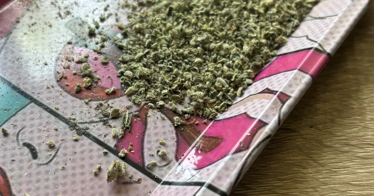 Ground cannabis flower scattered on a pink and white patterned surface, close up