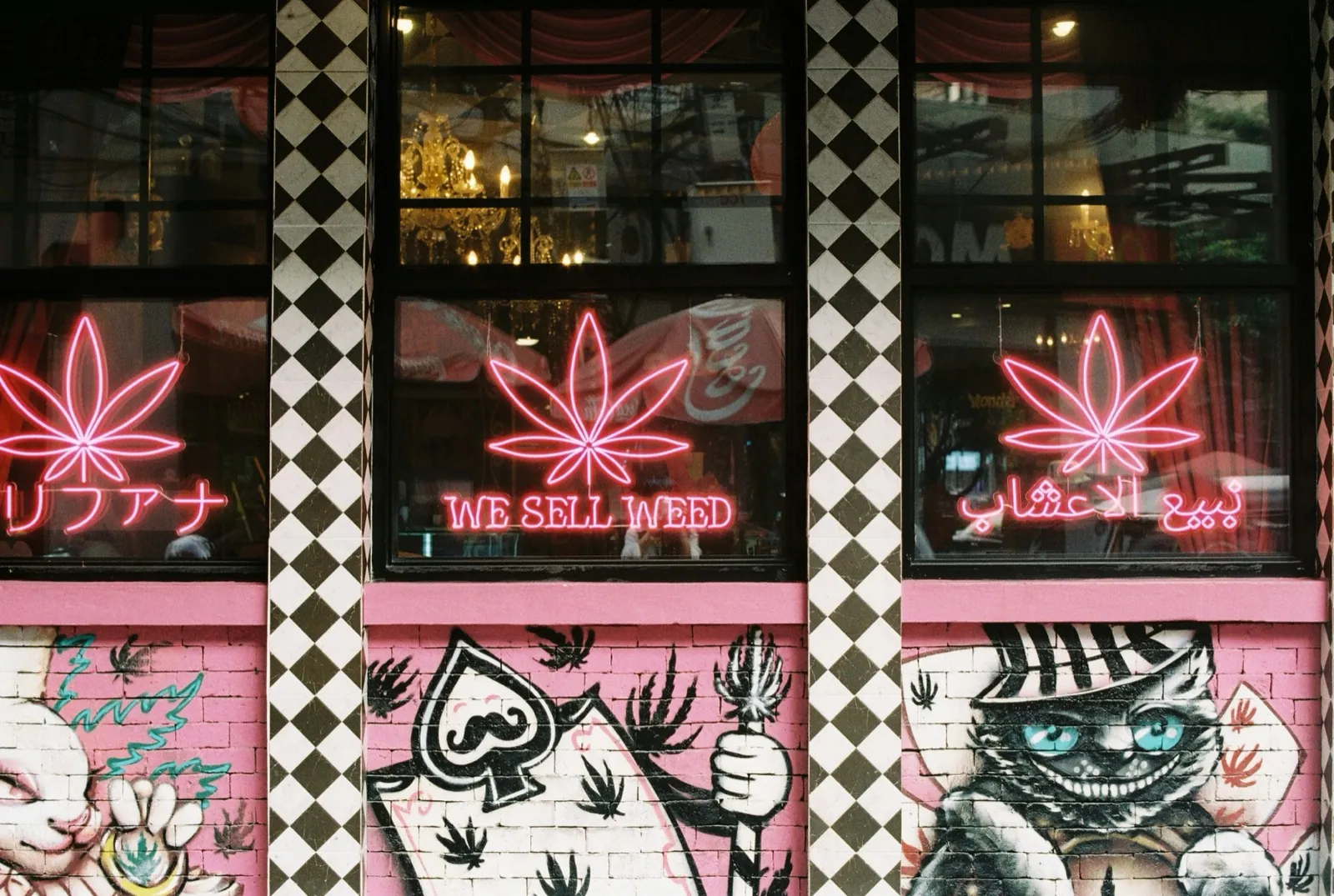 Best Late Night Dispensaries Bangkok